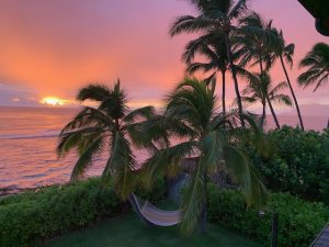 IMG_0519